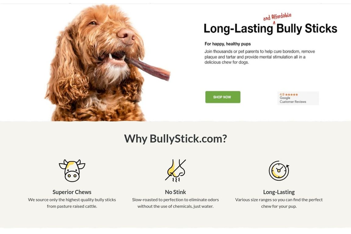 BullyStick.com homepage