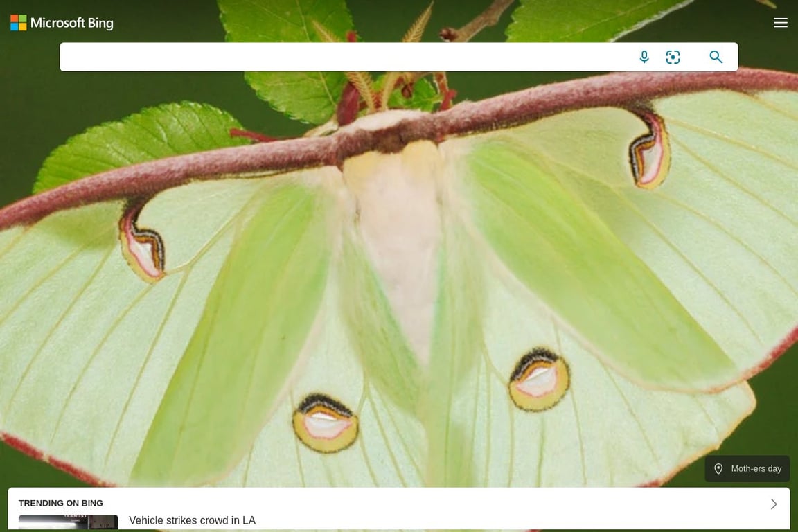 Microsoft Bing homepage