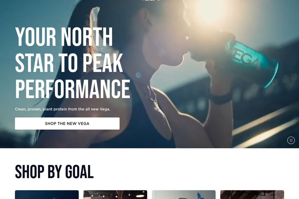 Vega homepage