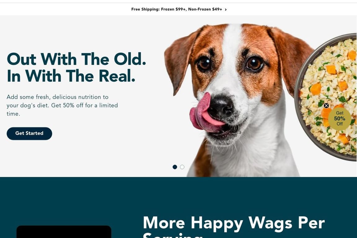 JustFoodForDogs homepage