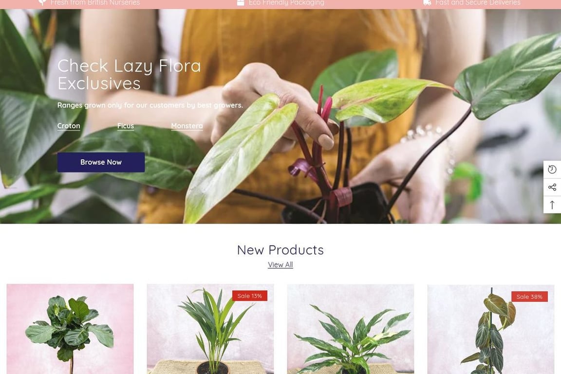 Lazy Flora homepage