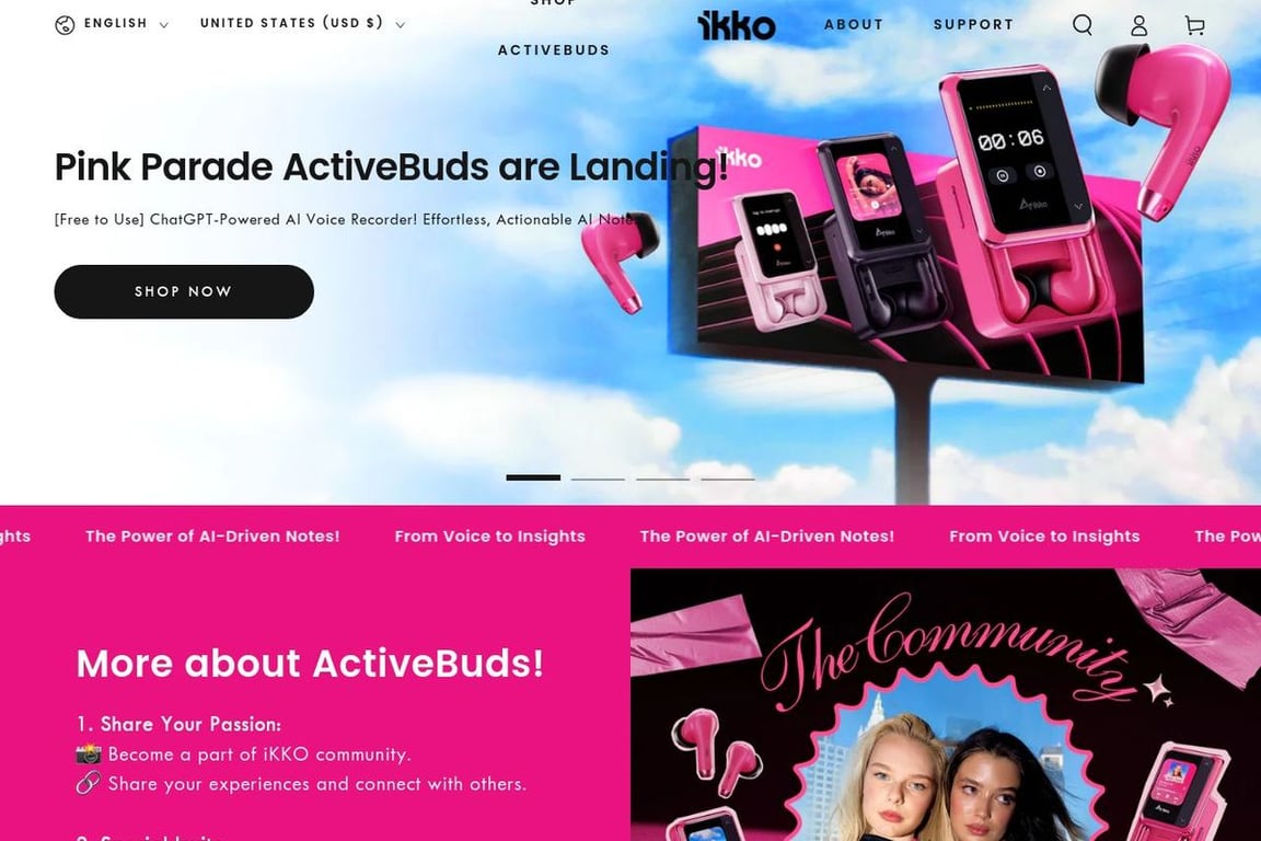 Shenzhen Aikeyin Audio Tech Company homepage