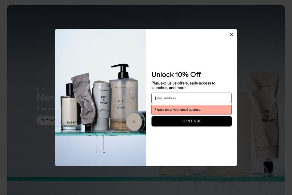 Salt & Stone homepage