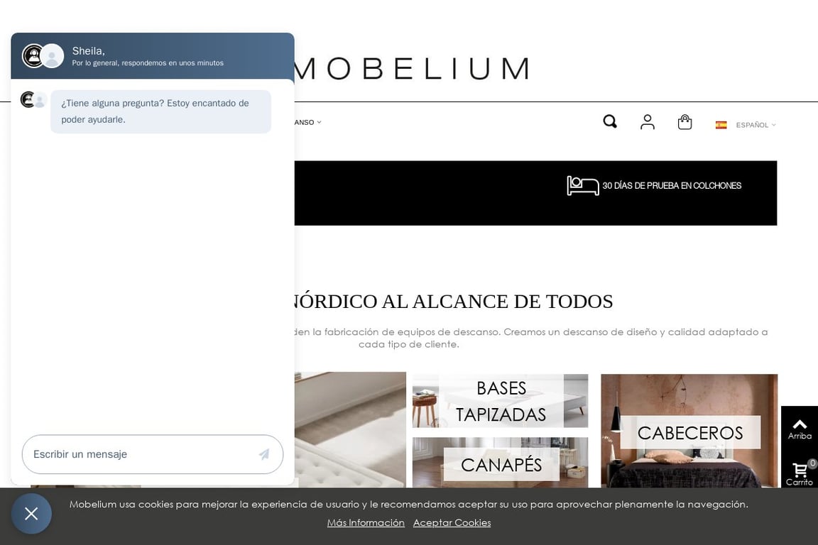Mobelium homepage