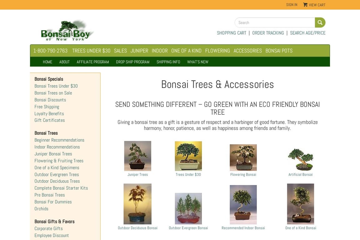 Bonsai Boy of New York homepage