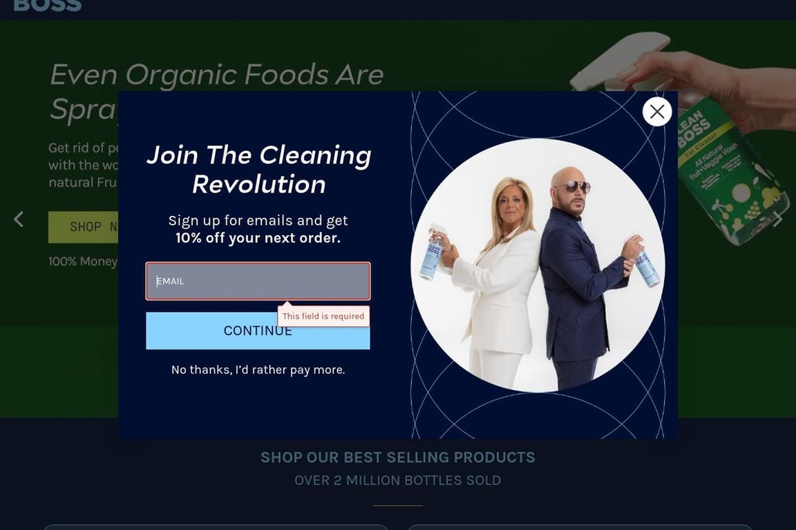 CleanBoss homepage