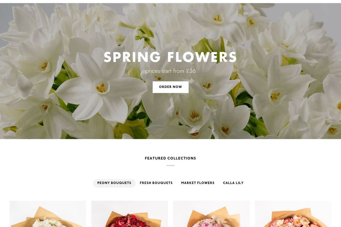 Bloom homepage