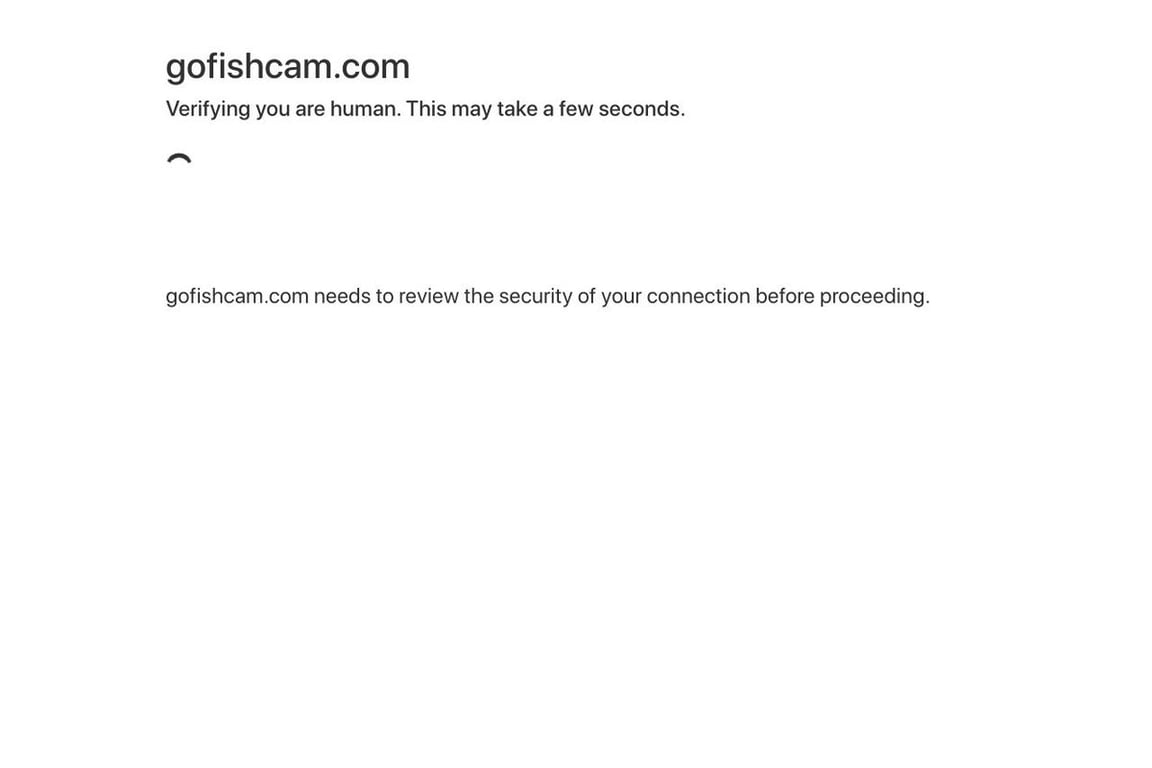 GoFish Cam homepage