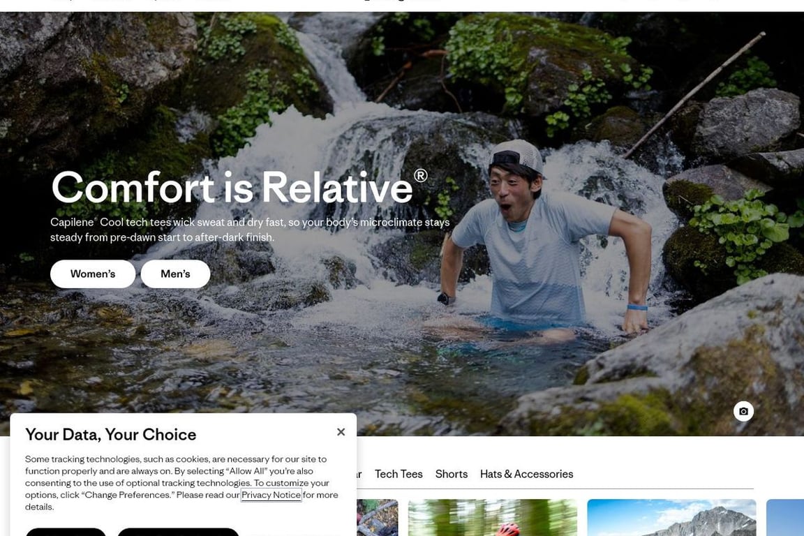 Patagonia homepage