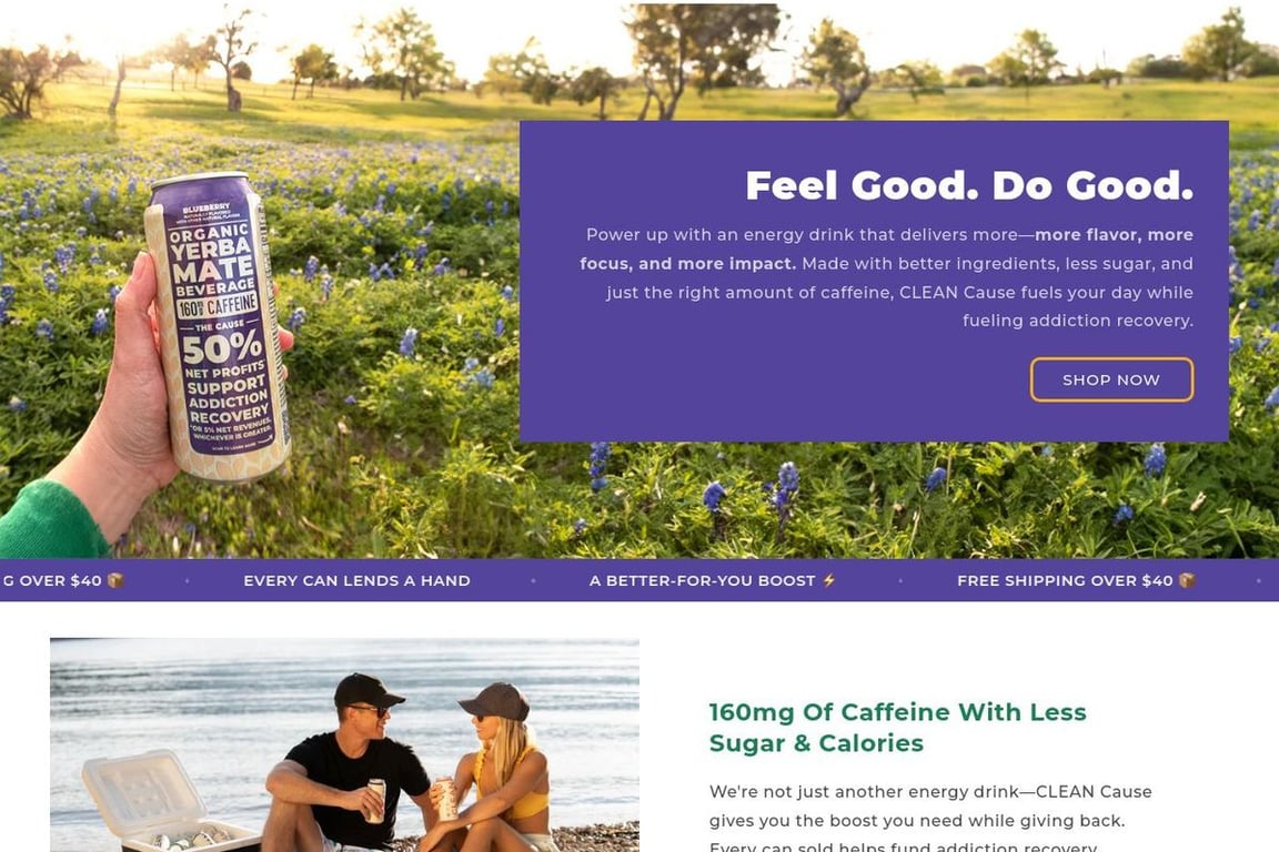 CLEAN Cause homepage