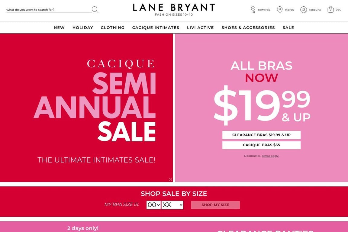 Lane Bryant Newsletter subscriber