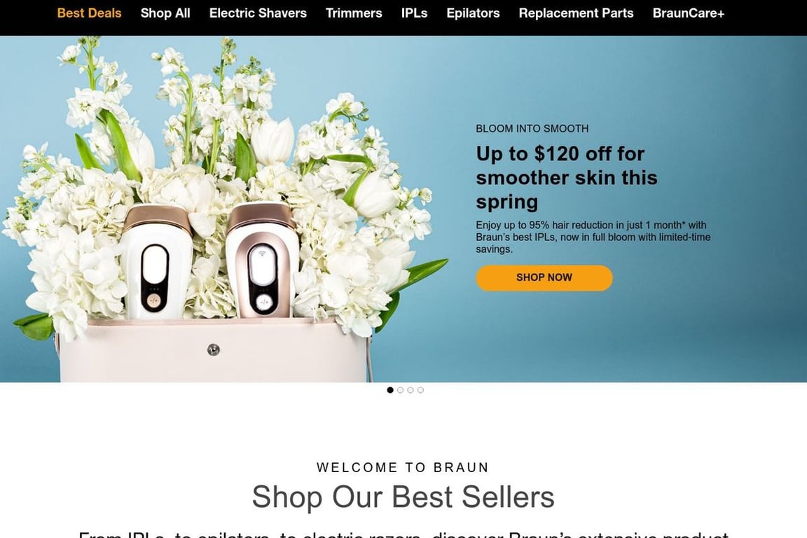 Braun homepage