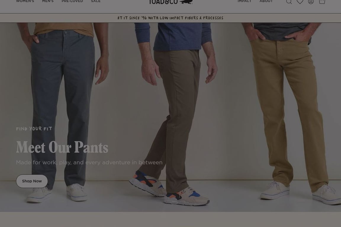 Toad&Co homepage