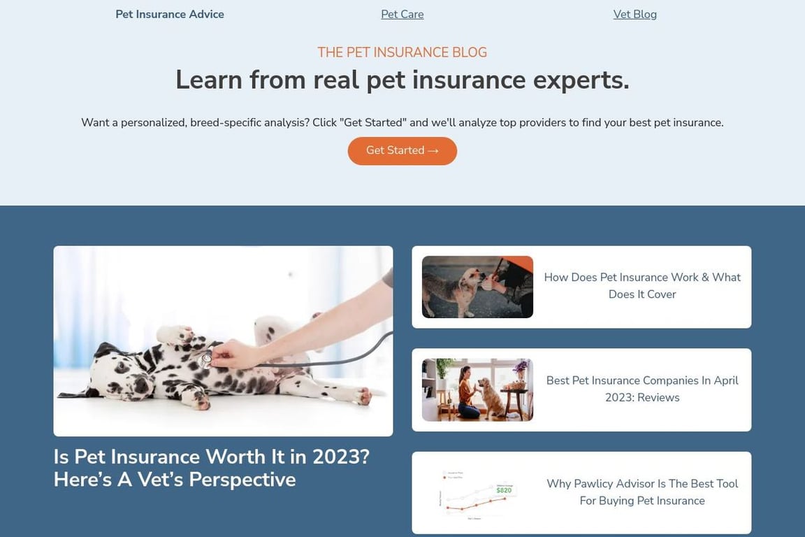 How to Start a Pet Blog and Pawsitively Delight Animal Lovers Lasso