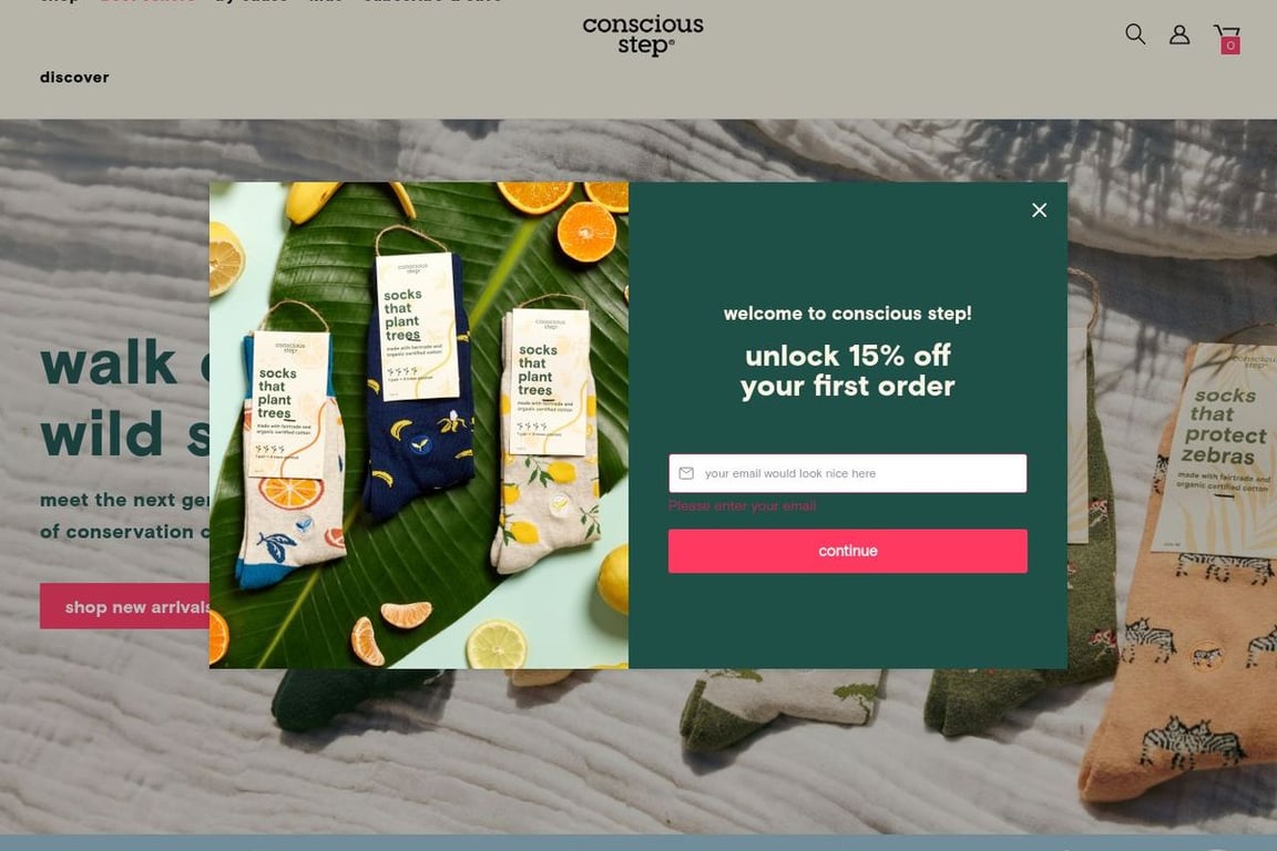 Conscious Step homepage