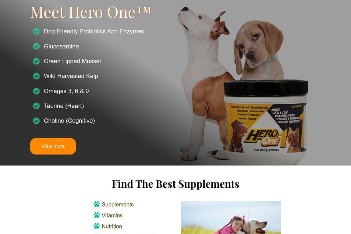 Ruff Hero homepage