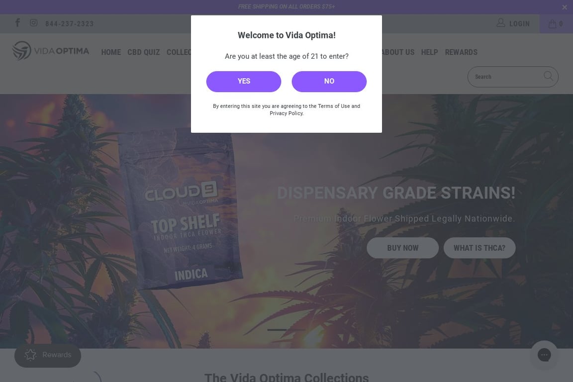 Vida Optima homepage