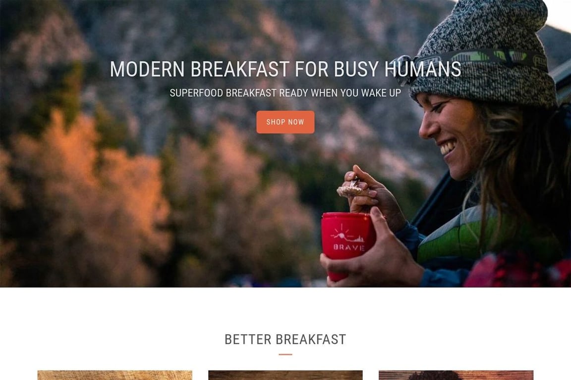Brave homepage