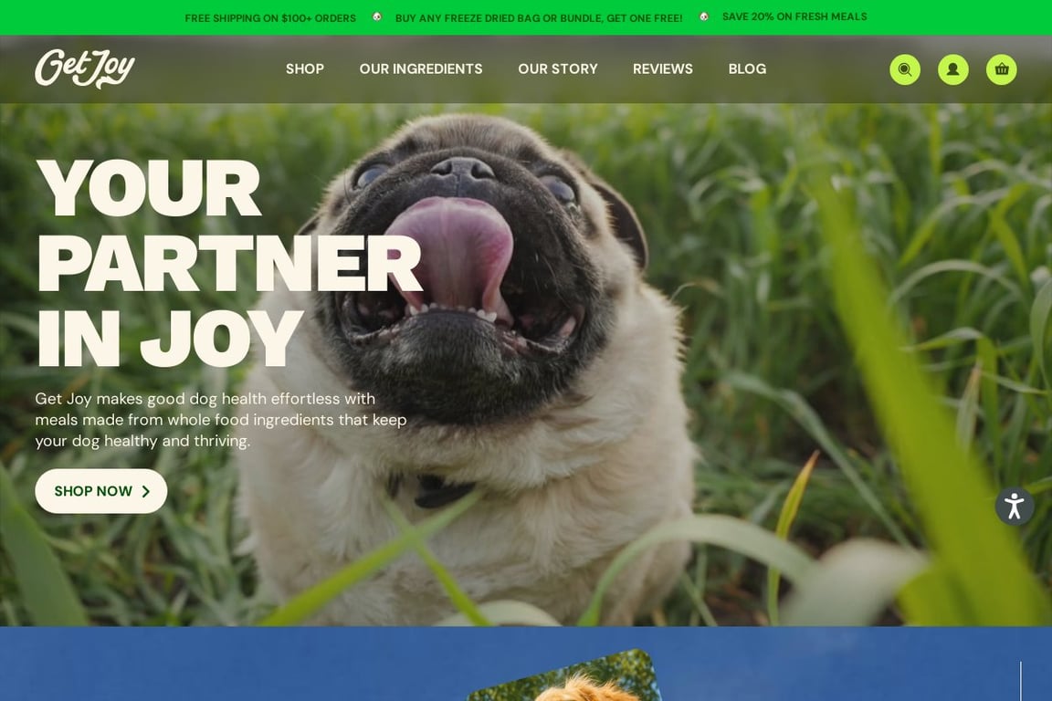 Get Joy homepage