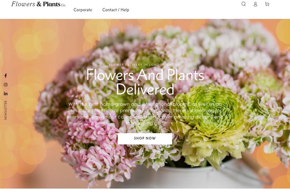Flowers & Plants Co. homepage