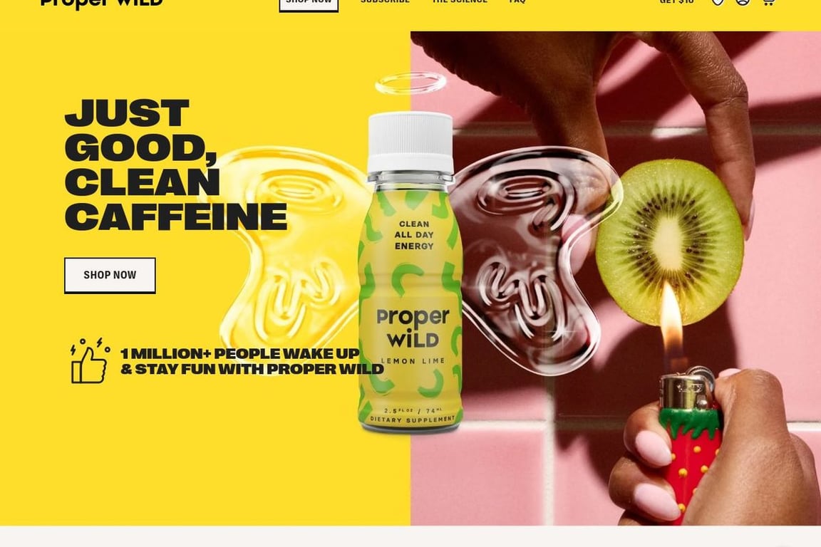 Proper Wild homepage