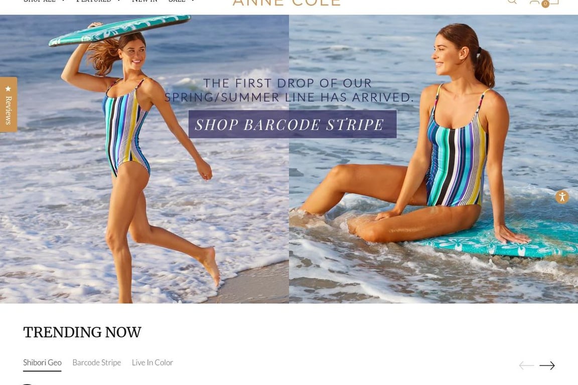 AnneCole.com homepage