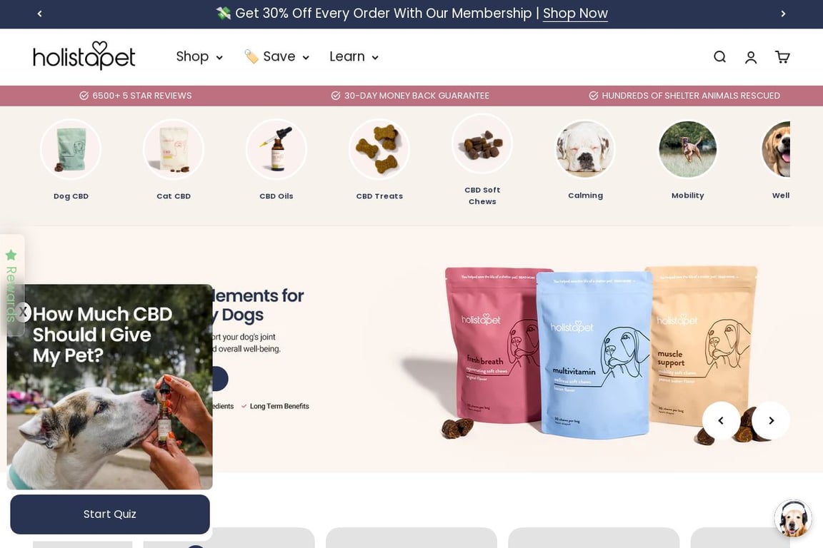 HolistaPet homepage