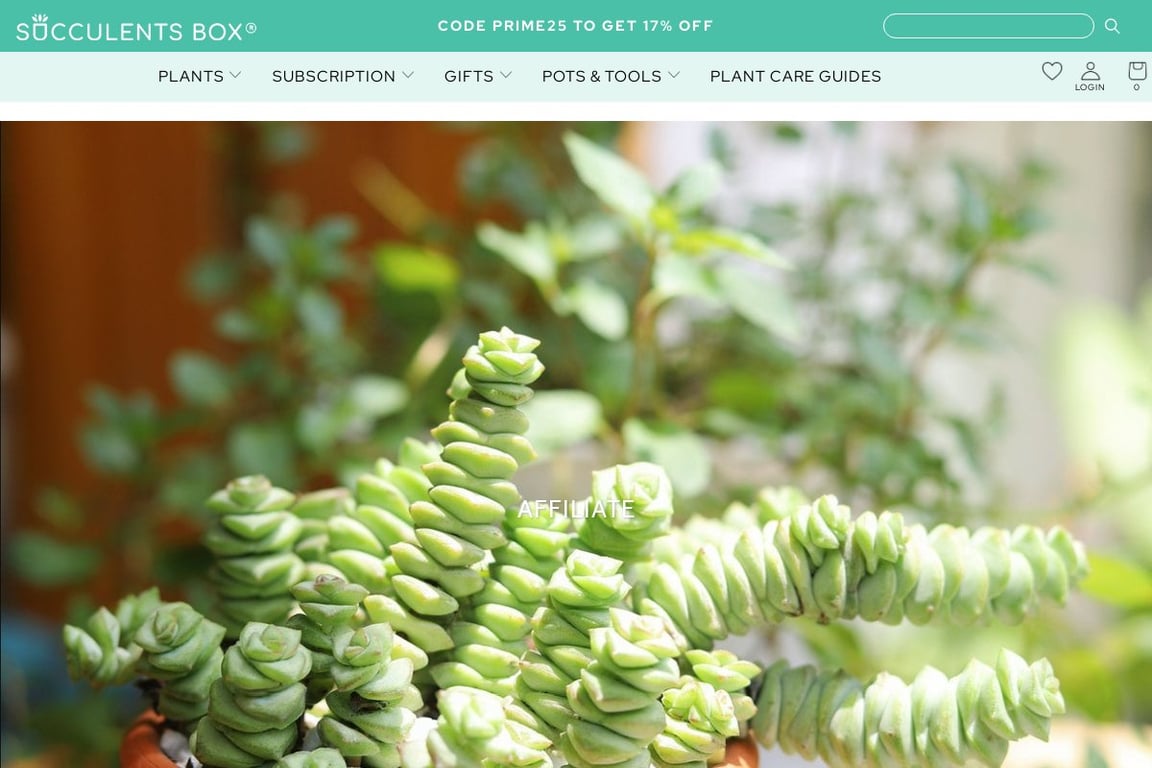 Succulents Box affiliate program signup page