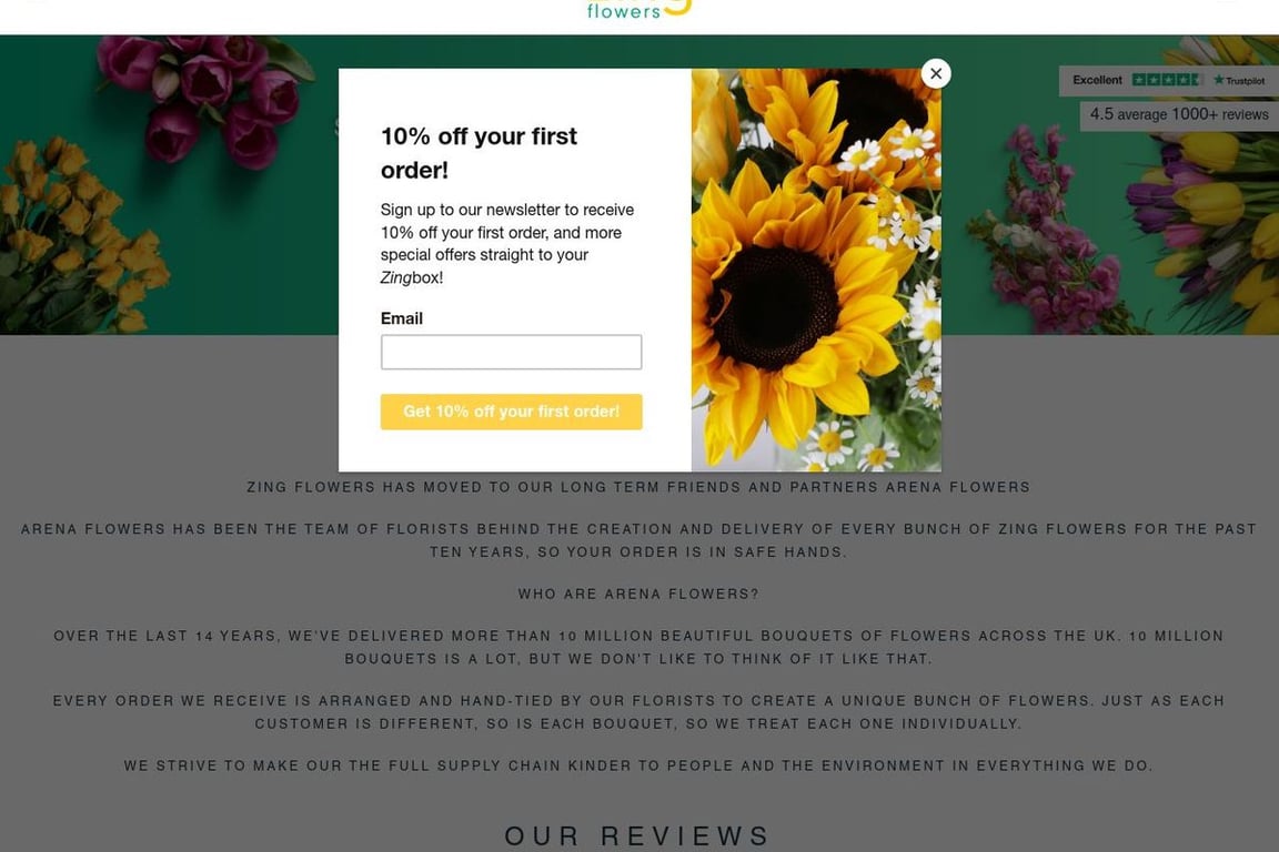 Zing Flowers homepage