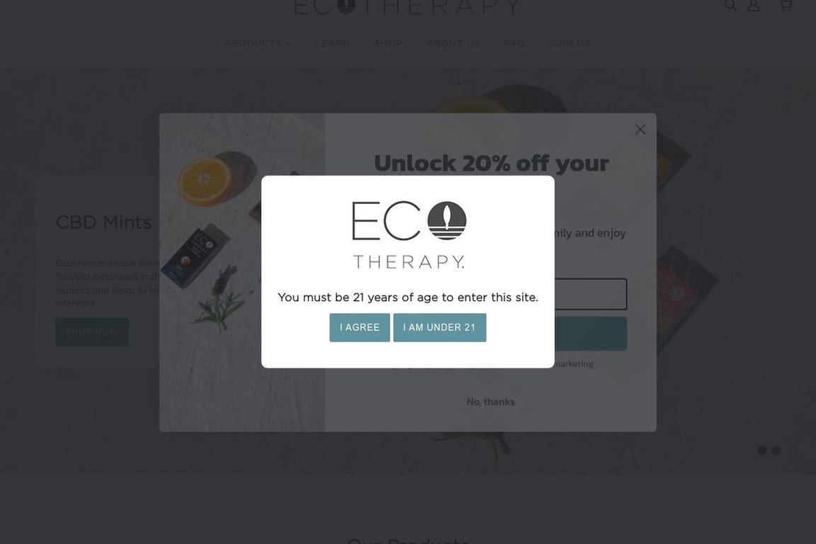 ECO Therapy homepage