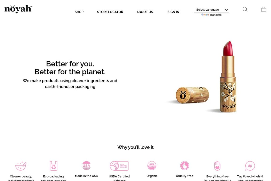 Noyah homepage