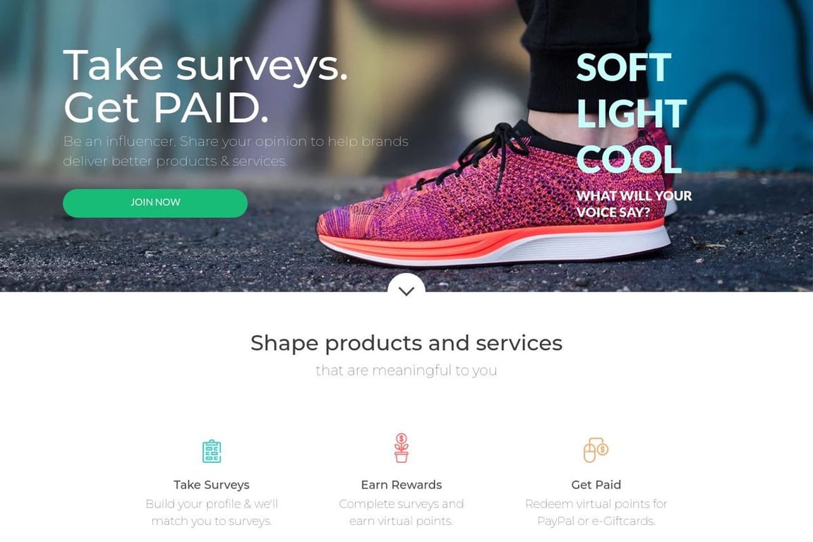 Survey Junkie homepage