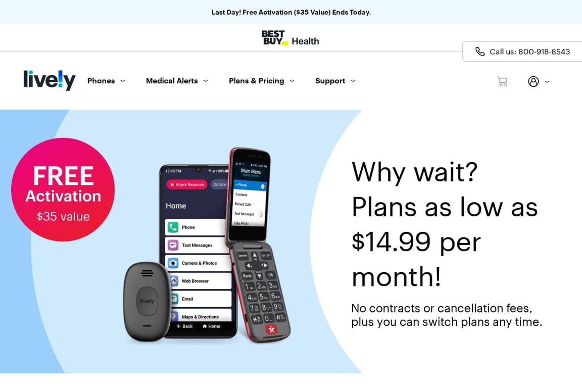 Lively homepage
