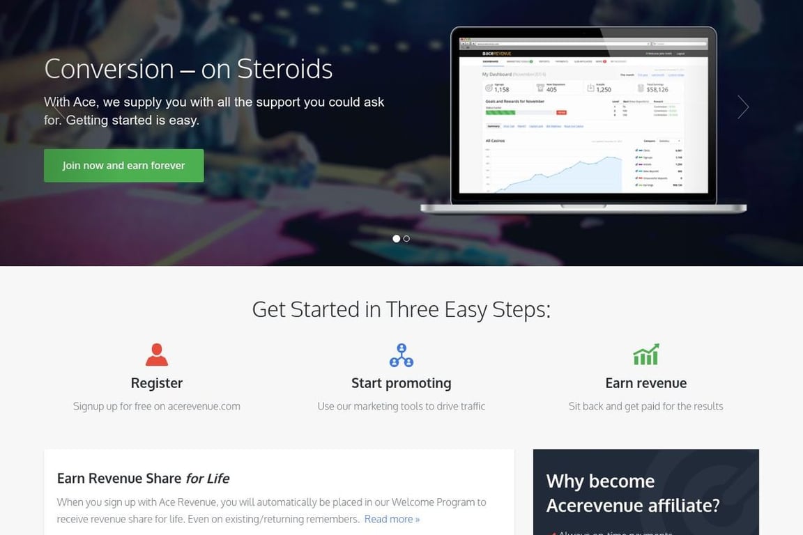 Ace Revenue homepage