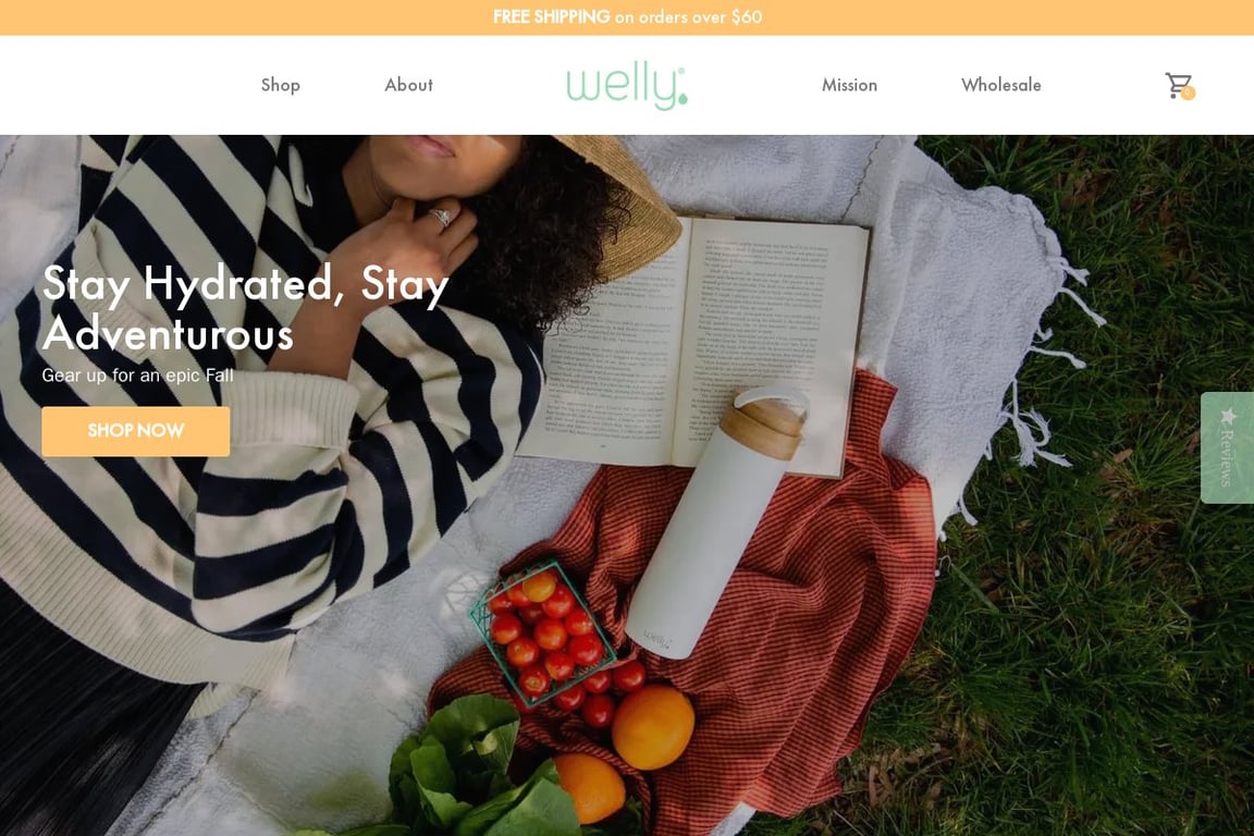Welly homepage