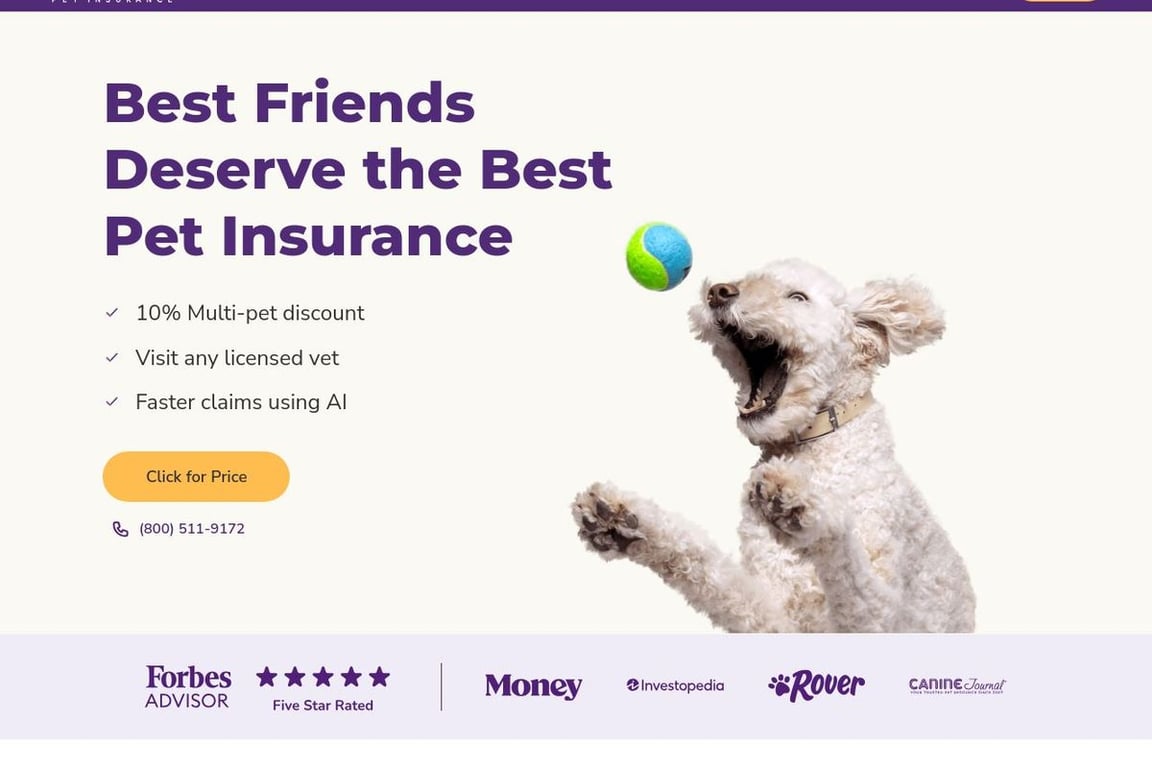 Embrace Pet Insurance homepage