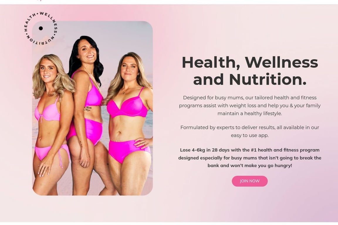 The Healthy Mummy homepage