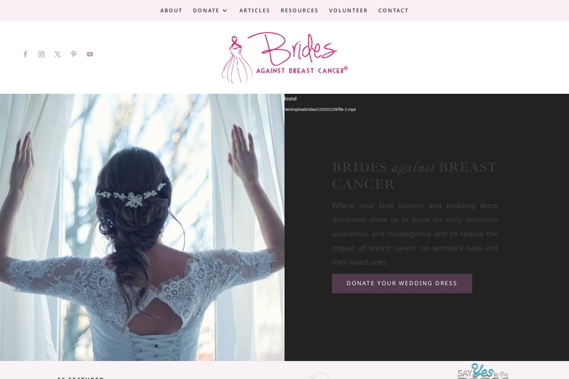 Brides Against Breast Cancer homepage
