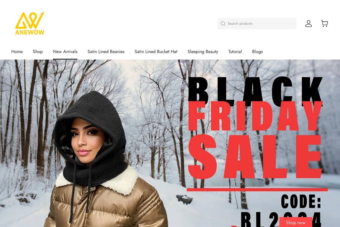 Anewow homepage