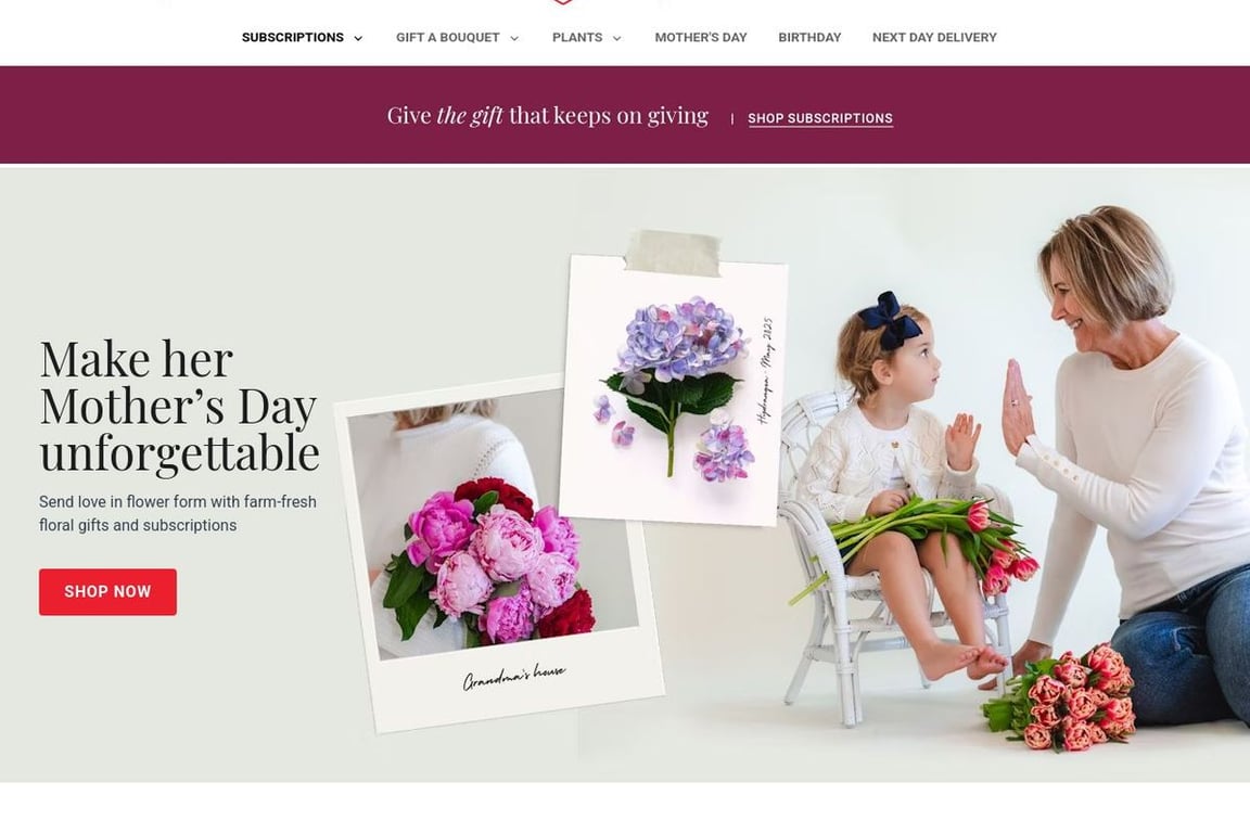 BloomsyBox (US) homepage
