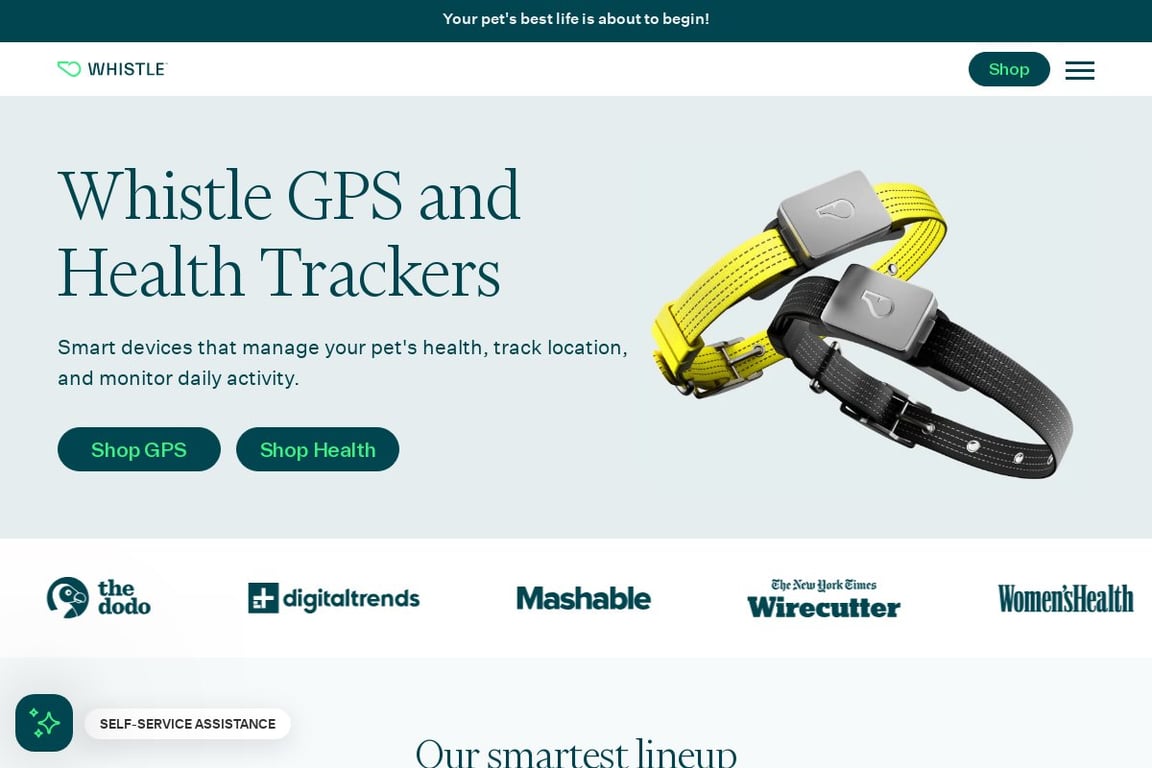 Whistle homepage