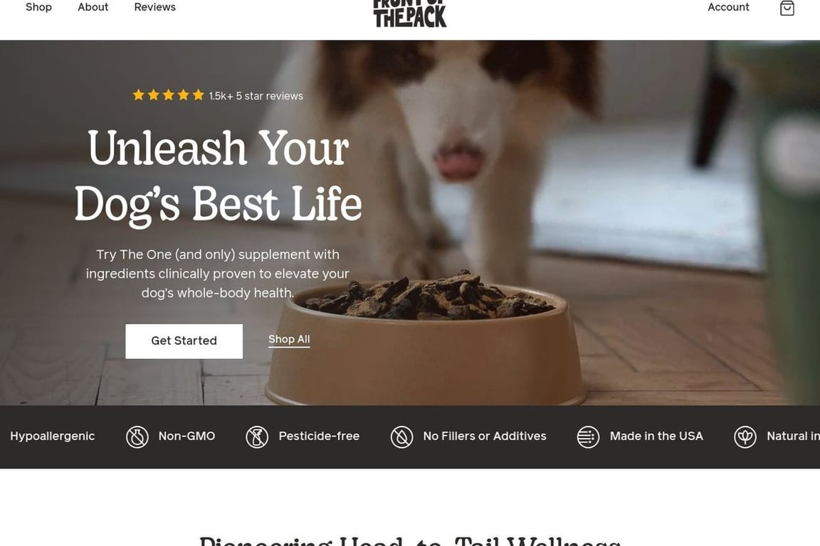 Front Of The Pack (US) homepage
