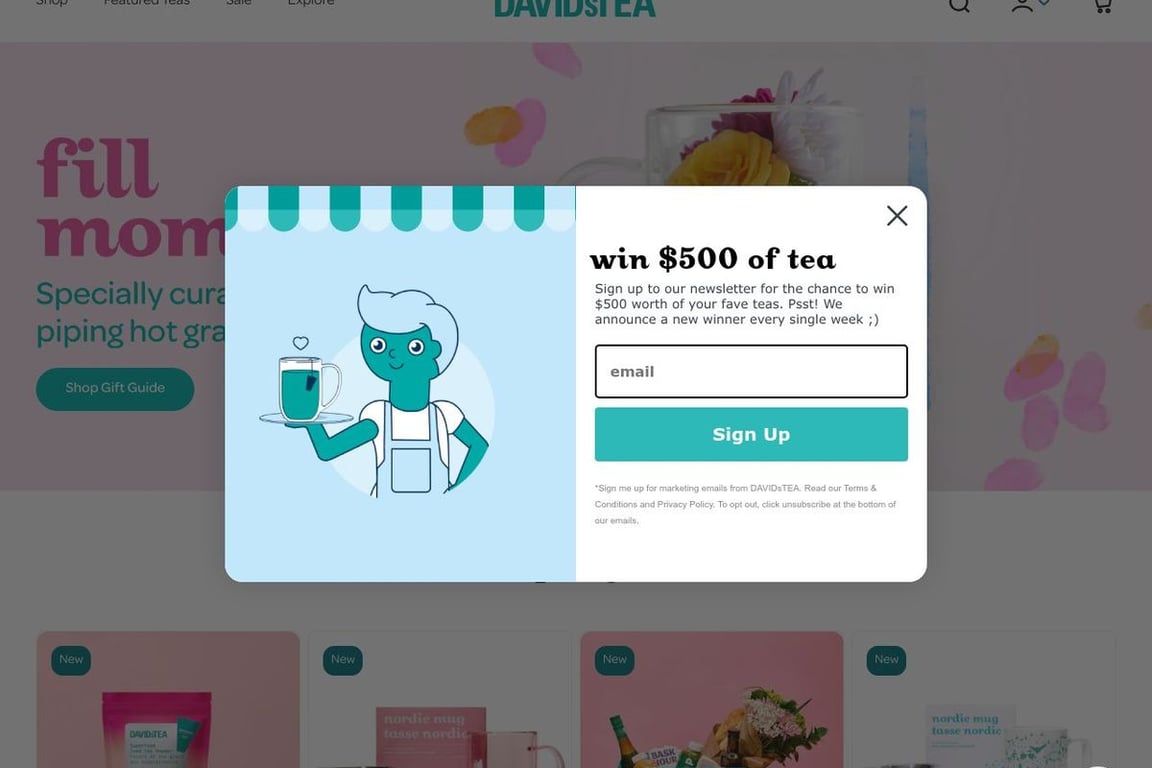 DAVIDsTEA homepage