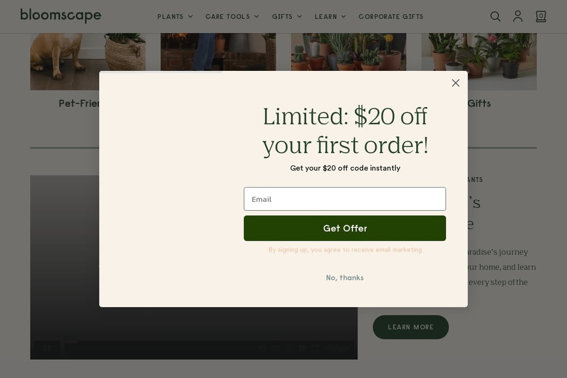 Bloomscape homepage