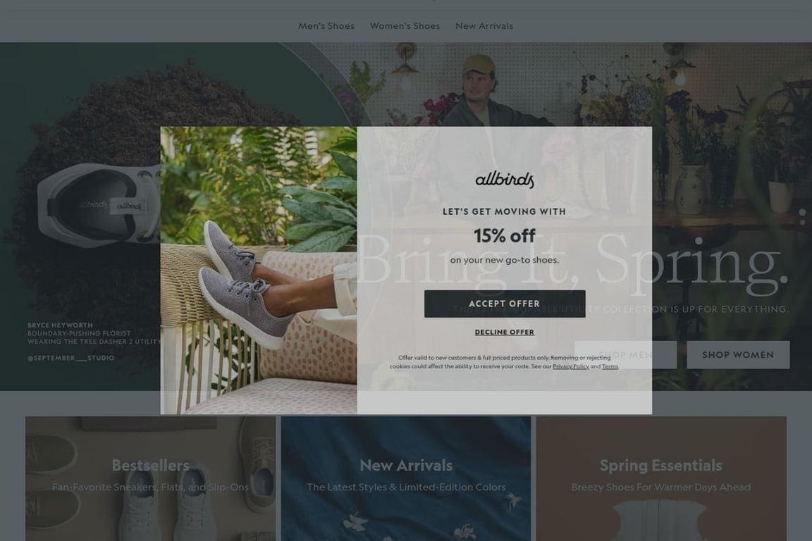 Allbirds homepage