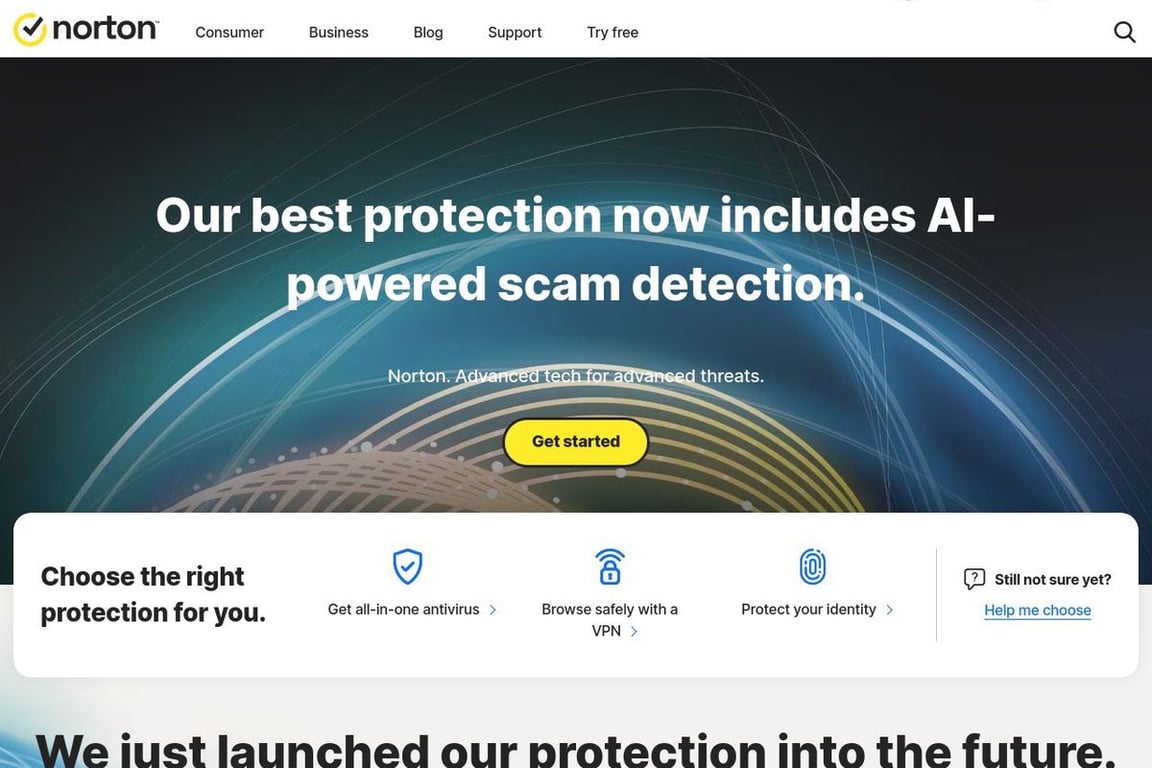 Norton homepage