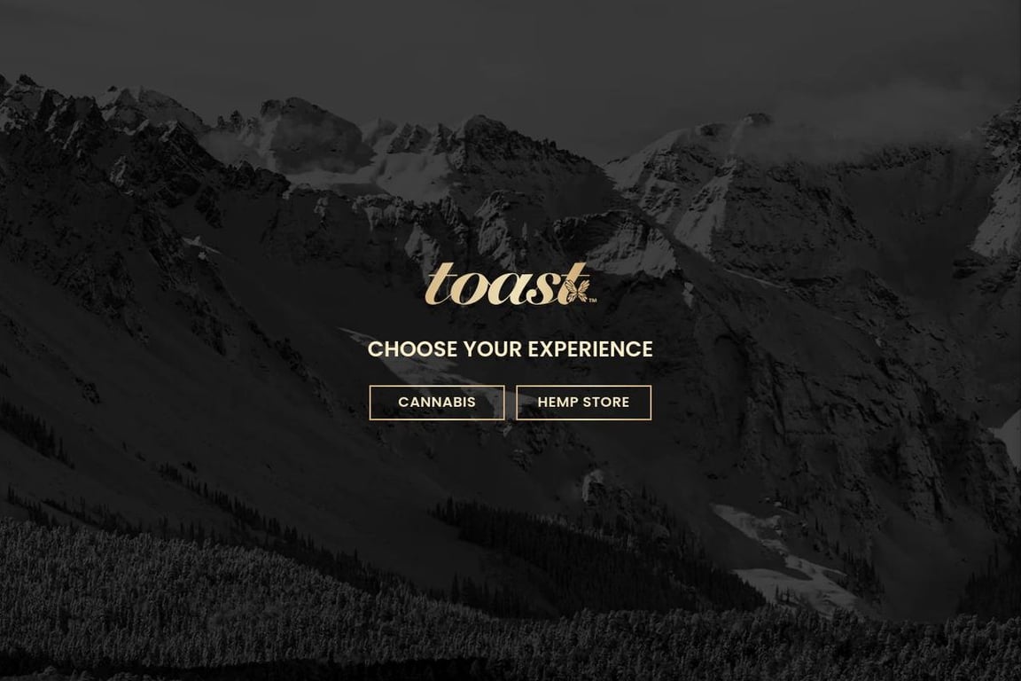 Toast Wellness homepage