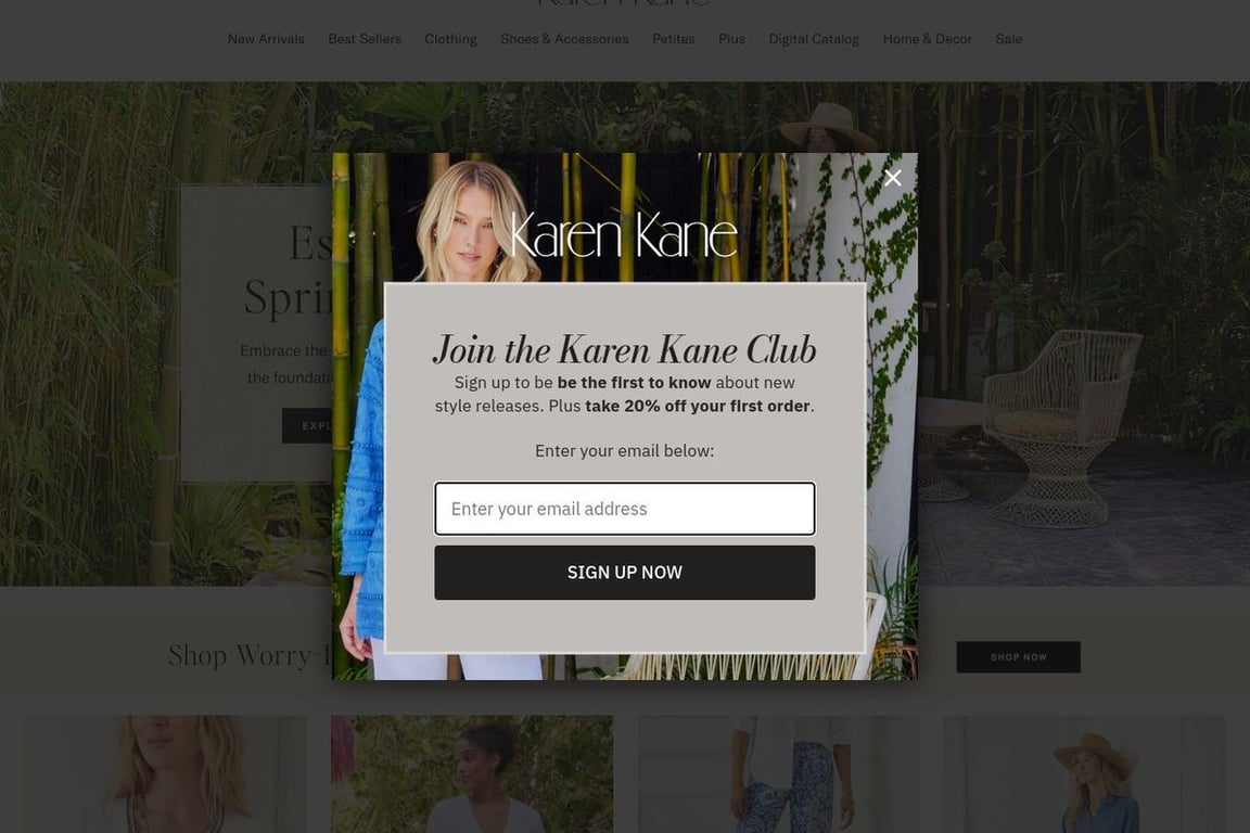 Karen Kane homepage