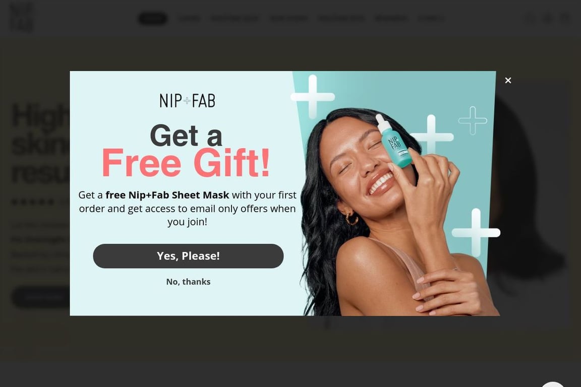 Nip & Fab homepage