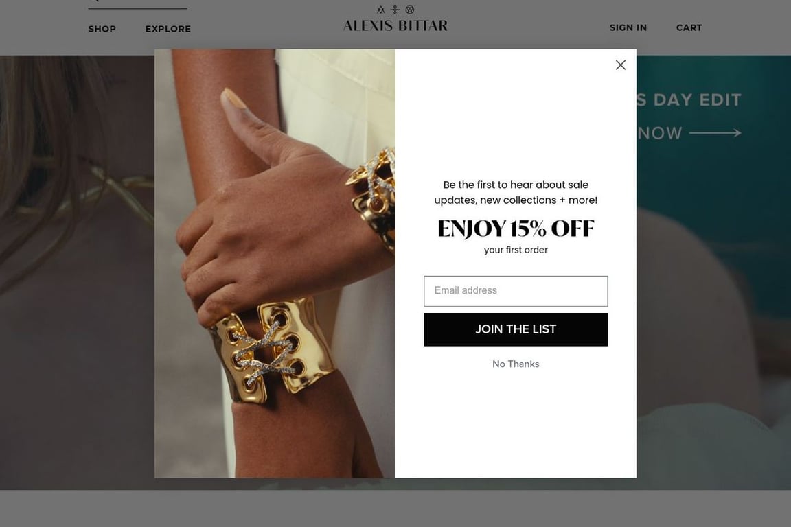Alexis Bittar homepage